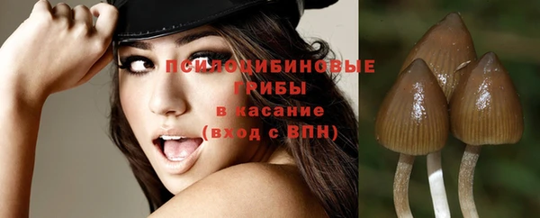 СК Мегион